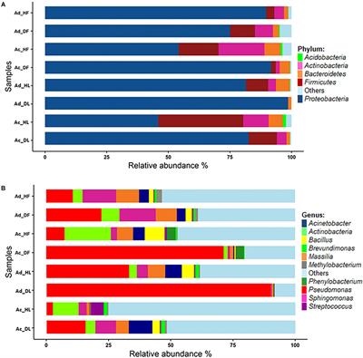 Plant Microbiome and Its Link to Plant Health: Host Species, Organs and Pseudomonas syringae pv. actinidiae Infection Shaping Bacterial Phyllosphere Communities of Kiwifruit Plants